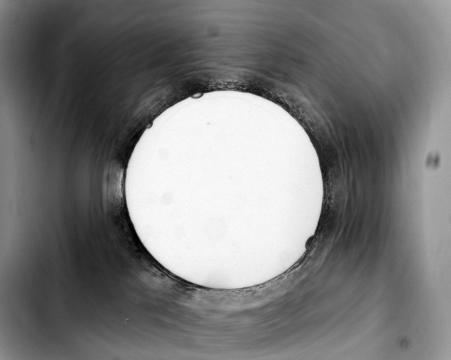 X0000103460041200810101200