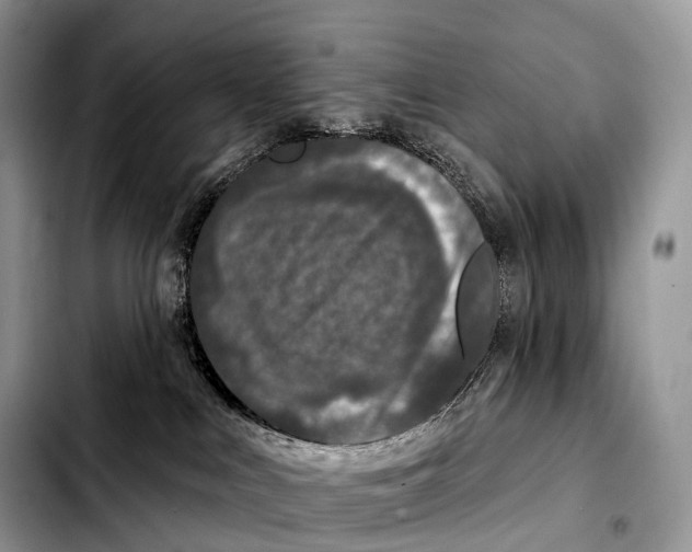 X0000103460043200810101200