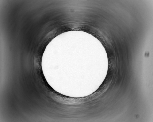 X0000103460044200810101200