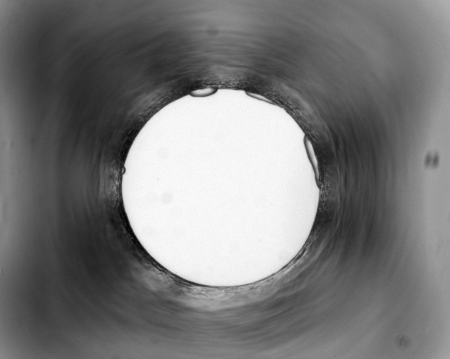 X0000103460045200810101200