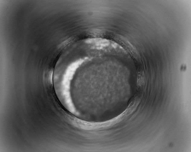 X0000103460047200810101200