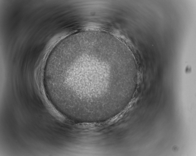 X0000103460049200810101159