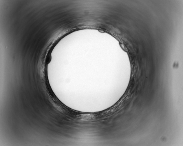 X0000103460050200810101159
