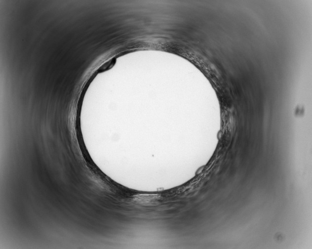 X0000103460051200810101159