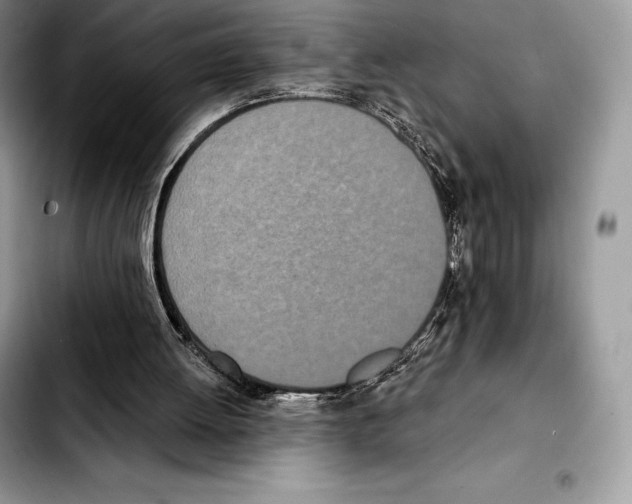 X0000103460052200810101159
