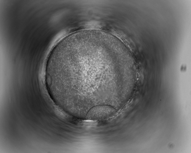 X0000103460053200810101159