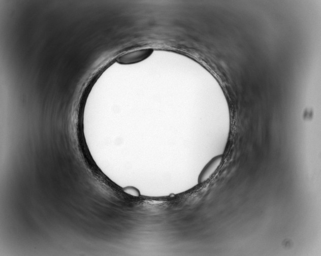 X0000103460055200810101200