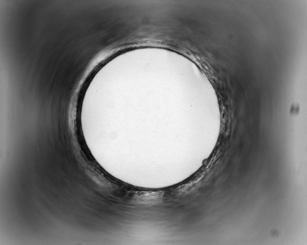 X0000103460056200810101200