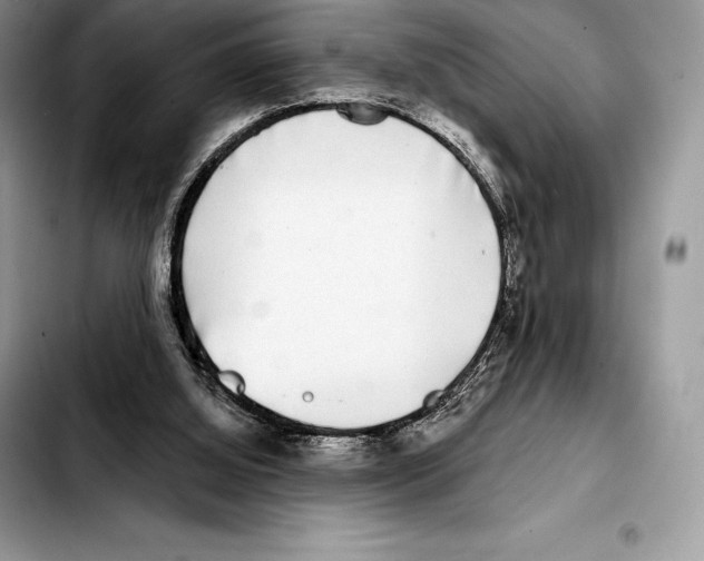 X0000103460060200810101200