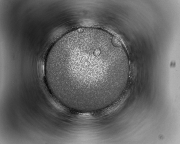 X0000103460061200810101200