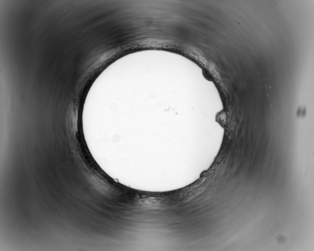 X0000103460062200810101200