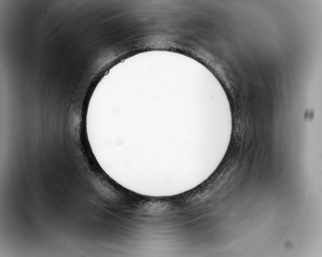 X0000103460063200810101200
