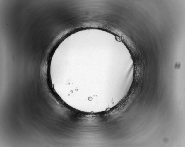 X0000103460064200810101200