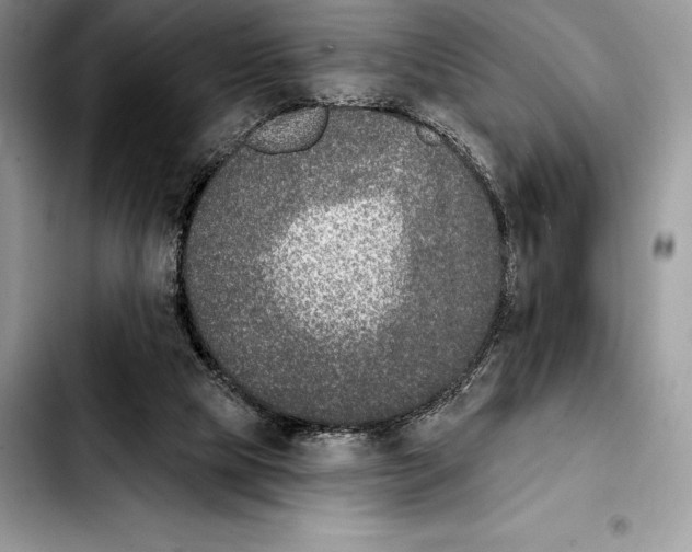 X0000103460065200810101200