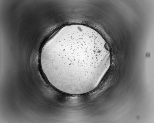 X0000103460068200810101200