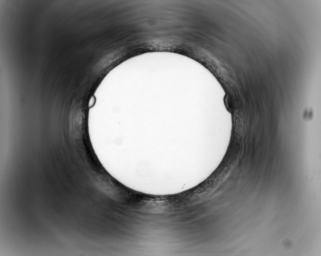 X0000103460071200810101200