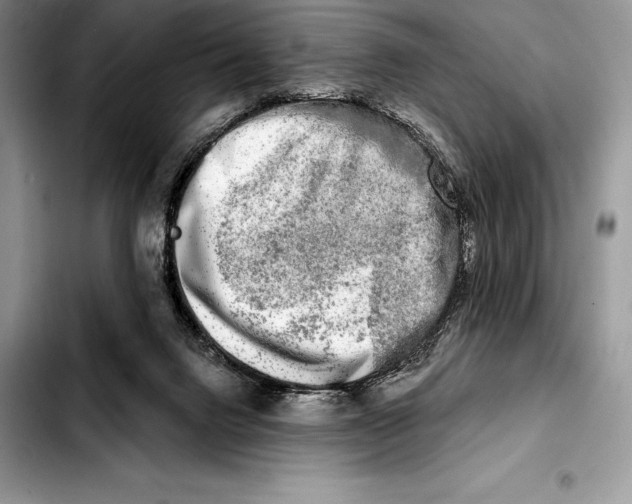 X0000103460072200810101200