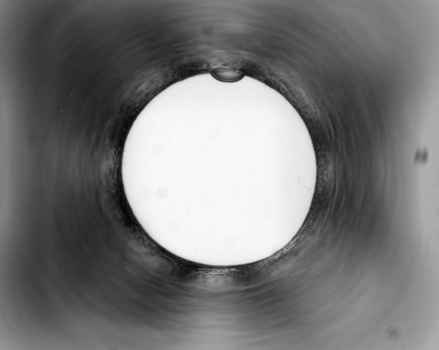 X0000103460078200810101200