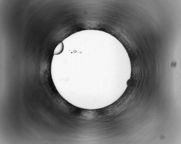 X0000103460079200810101200