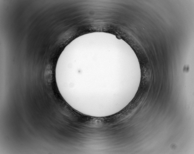 X0000103460080200810101200