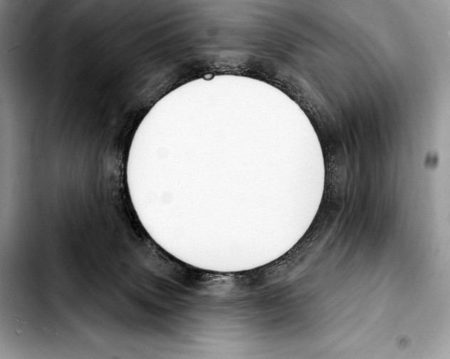 X0000103460083200810101200