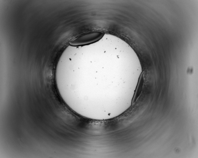 X0000103460084200810101200