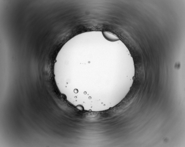 X0000103460088200810101200