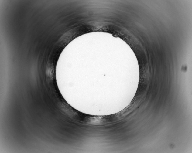 X0000103460090200810101200
