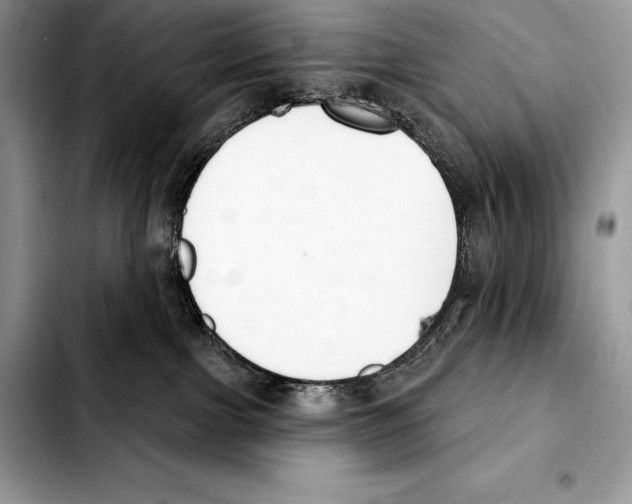 X0000103460091200810101200