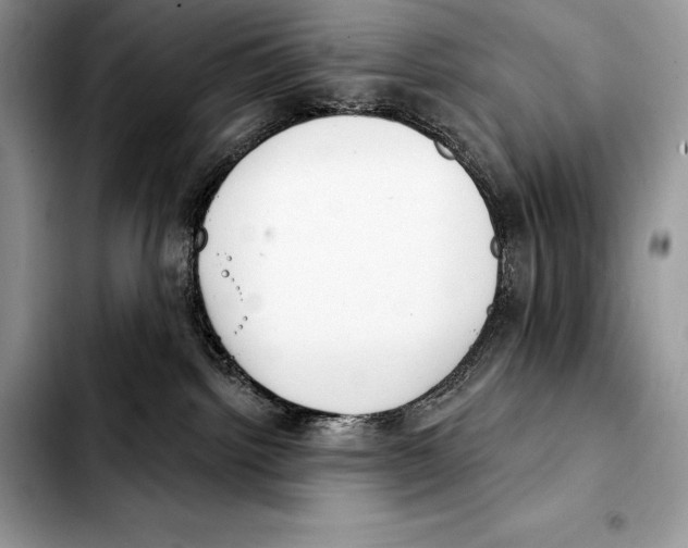 X0000103460092200810101200