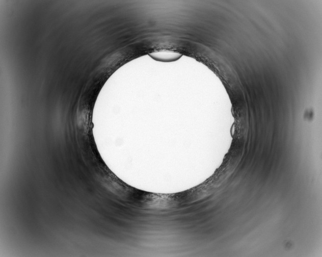 X0000103460093200810101200