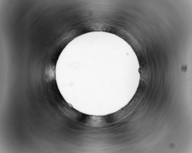 X0000103460095200810101200
