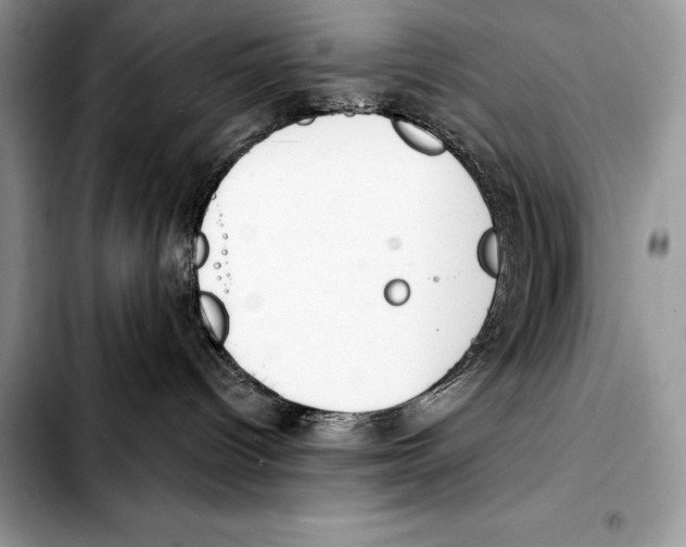 X0000103460096200810101200