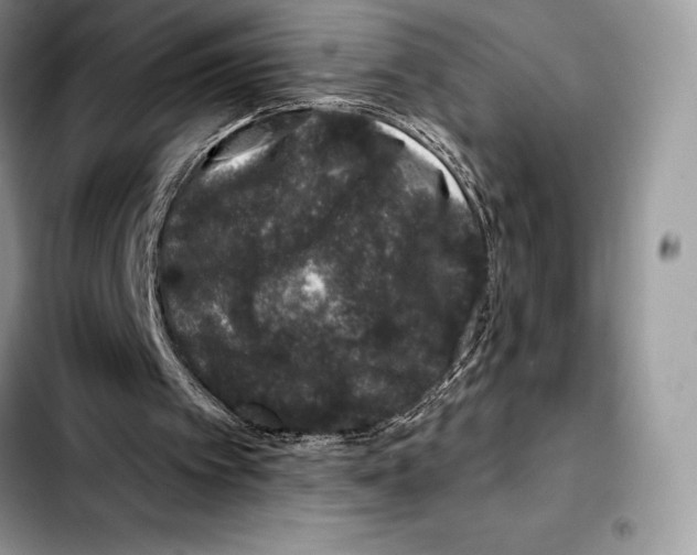 X0000103460097200810101159