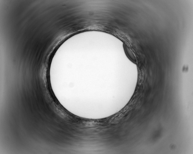 X0000103460098200810101159