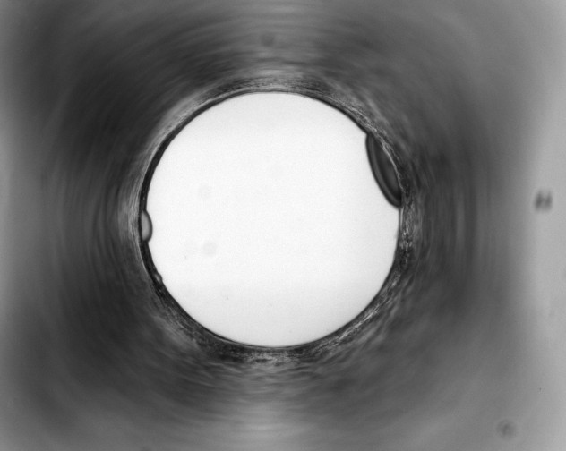 X0000103460099200810101159