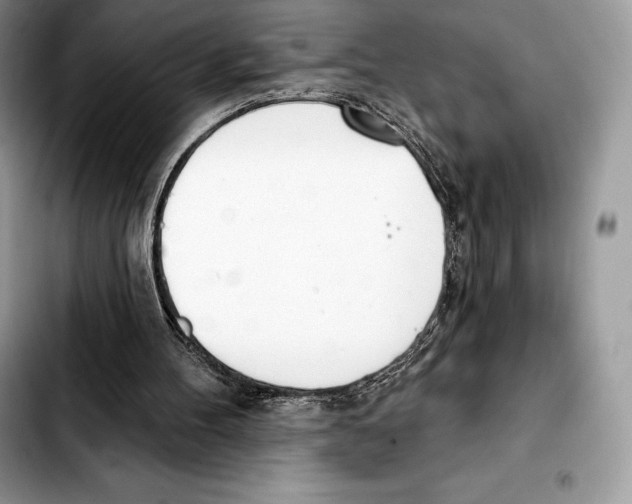 X0000103460100200810101159