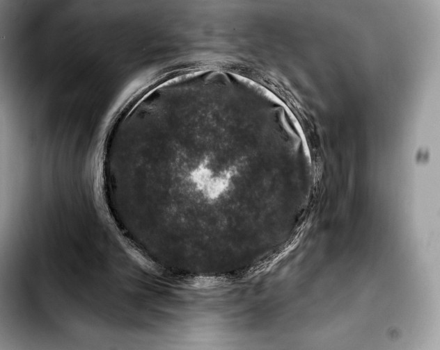 X0000103460101200810101159