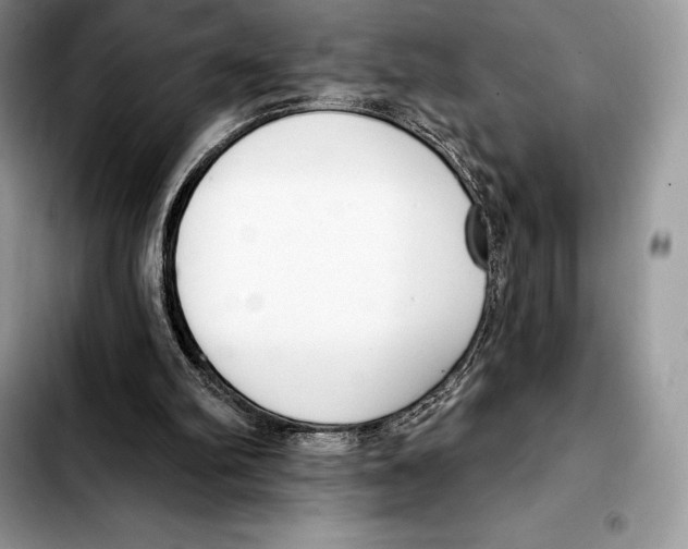 X0000103460102200810101159