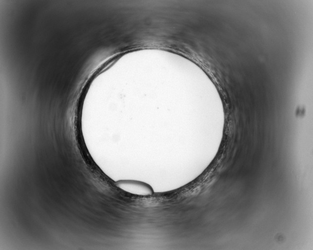 X0000103460103200810101159