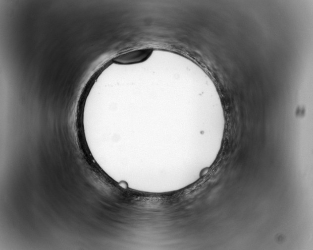 X0000103460104200810101159