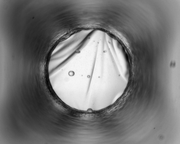X0000103460105200810101159