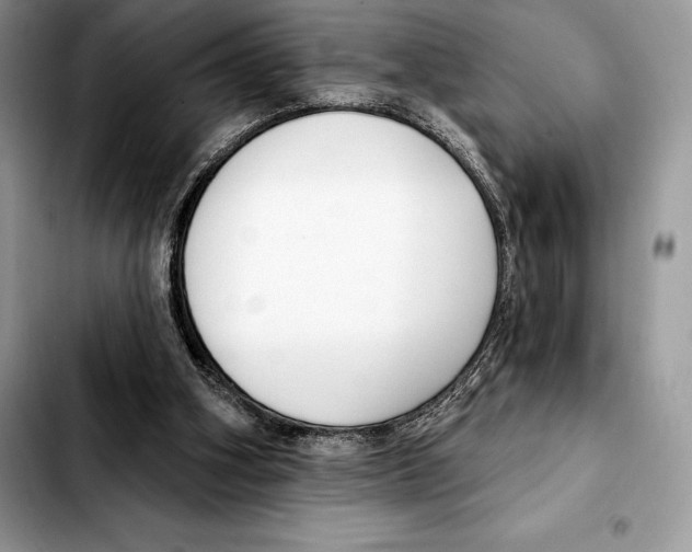X0000103460106200810101159