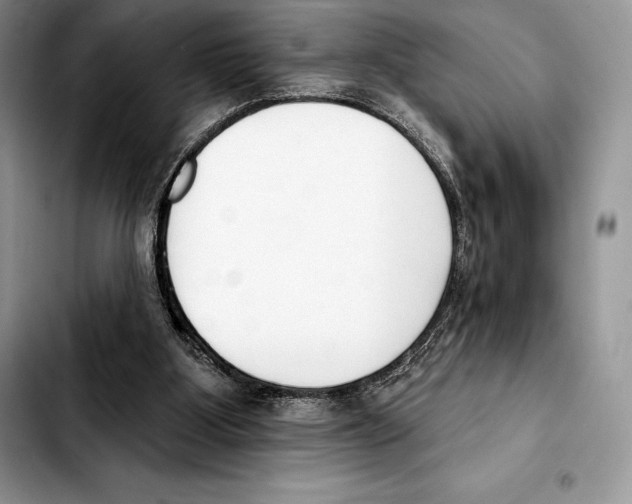 X0000103460107200810101159