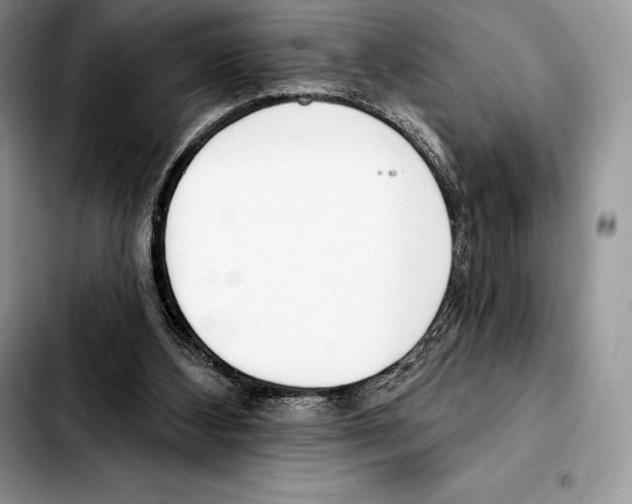 X0000103460108200810101159