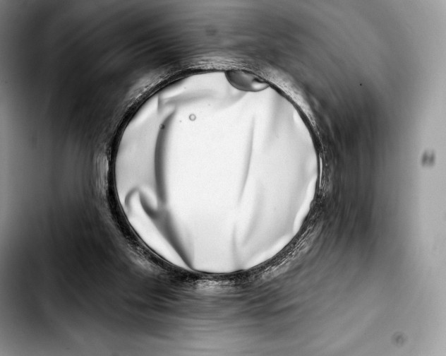 X0000103460109200810101159