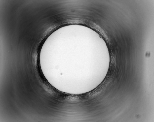 X0000103460110200810101159