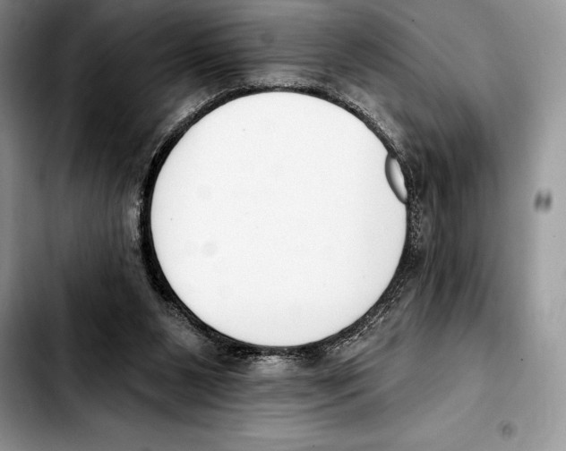 X0000103460111200810101159