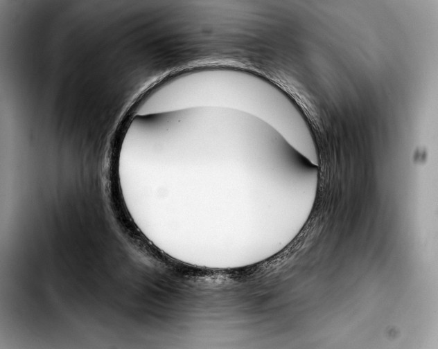 X0000103460112200810101159