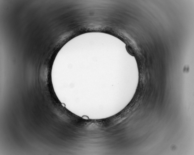X0000103460115200810101159